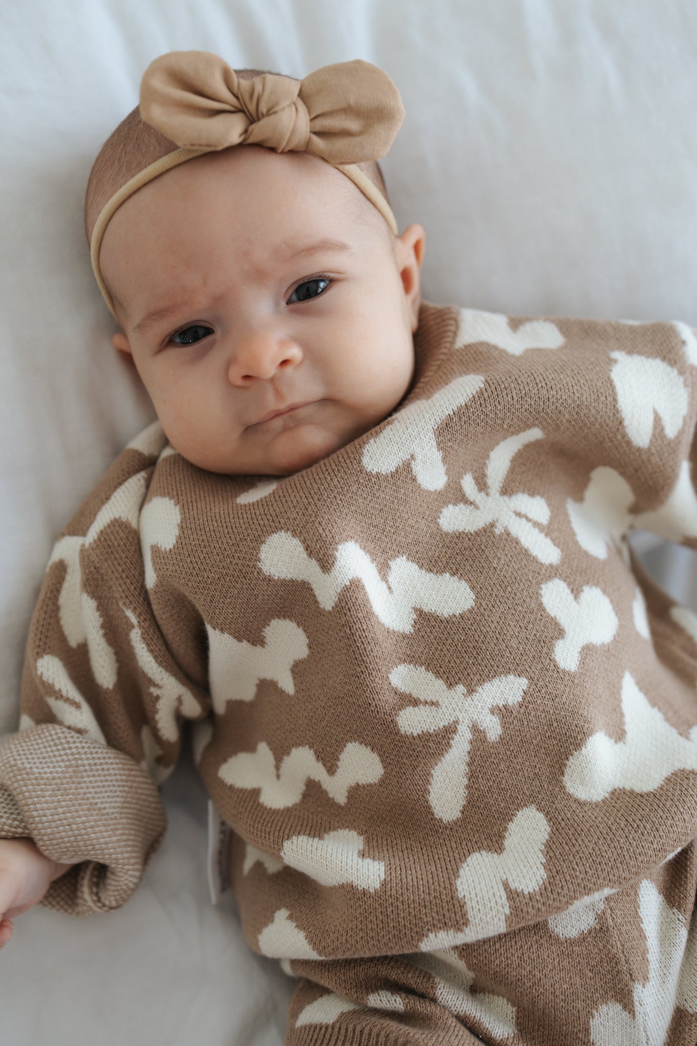 Little Bugs Knit Jumper - Bambi